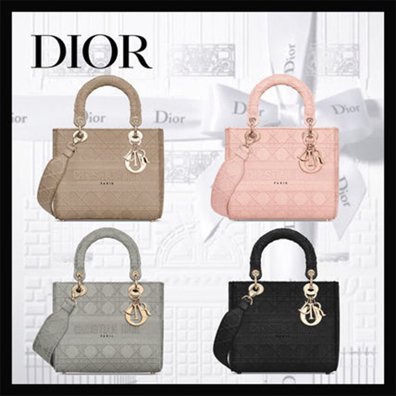 【ピンク♪日本未入荷】ミディアム レディ D-Lite バッグ 5色-BUYMA