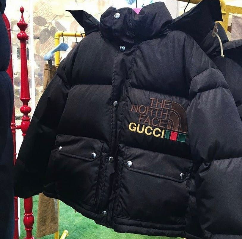 【GUCCI × NORTH FACE 】コラボ ダウンジャケット